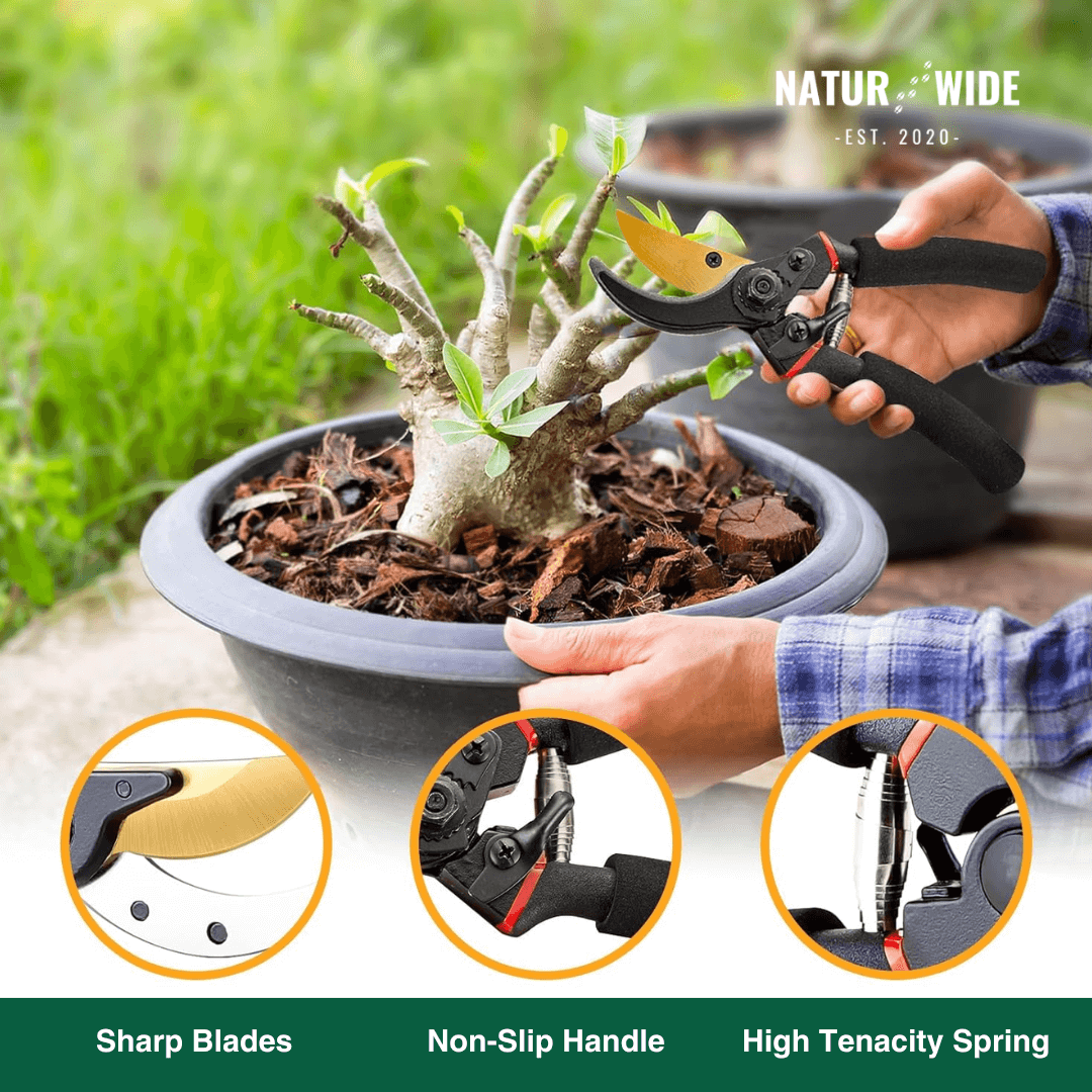 AIRAJ 8.5 Inch Pruner Shears SK5 Blade Pruning Scissors for Bonsai Fruit Trees Flowers Pruners，Ergonomic Non-slip Handles