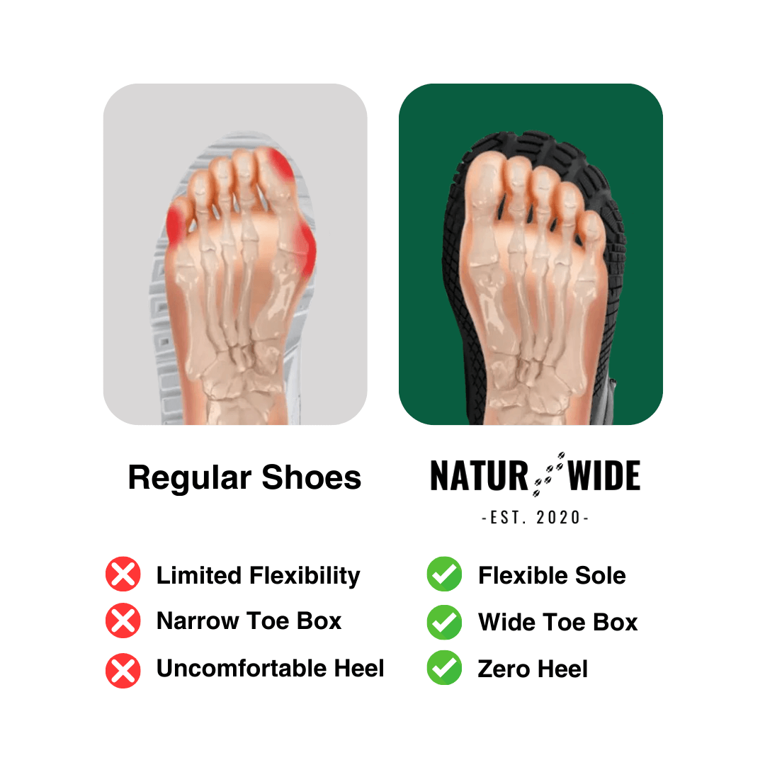 BareFlex – Barefoot Shoes for Healthy Walking, Podiatrist-Approved (Unisex)